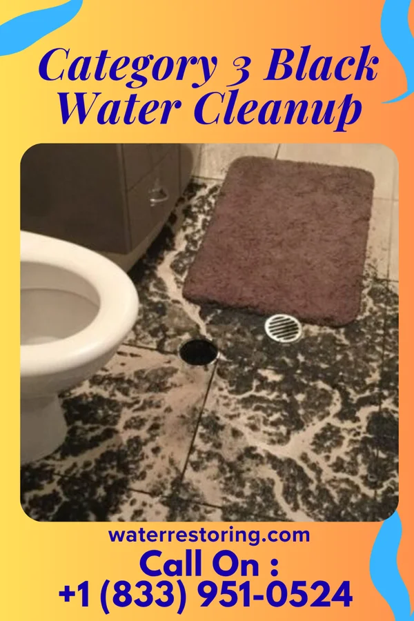 Category 3 Black Water Cleanup in Durant, OK